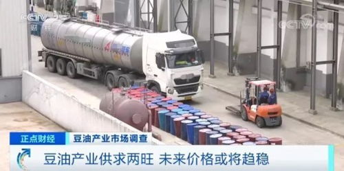 大豆油價(jià)格飆升20% 加工廠年?duì)I業(yè)額預(yù)增50%，國(guó)內(nèi)貿(mào)易代理面臨機(jī)遇與挑戰(zhàn)